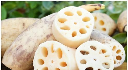 七孔藕与九孔藕的差别