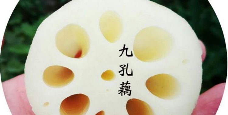 粉藕是七孔还是九孔的