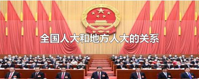 ​全国人大和地方人大的关系