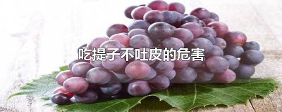 ​吃提子可以不吐皮吗为什么 吃提子可以不吐皮吗女生