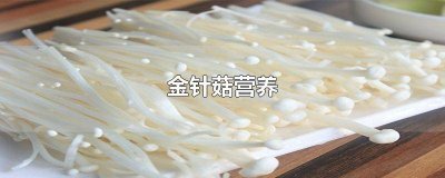 ​金针菇的营养功效与作用 金针菇的营养价值和药用价值