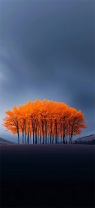 ​高清壁纸：唯美瑰丽大自然 宁静壮丽的诗与远方