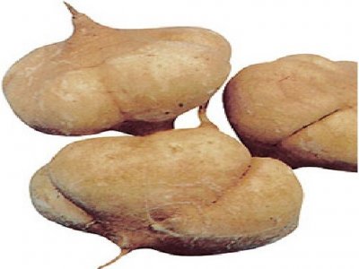 ​是地瓜还是番薯，据说99%的人都分不清。