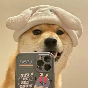 ​可爱搞怪萌宠小狗头像 奇奇怪怪