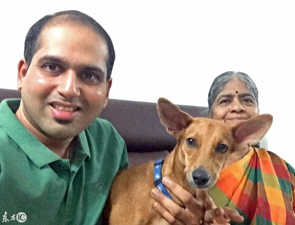 狗狗被从三层楼抛下，视频引发热议，狗狗最终找到归宿