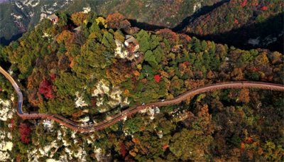 ​秋色绚烂少华山