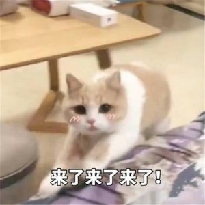 ​学分、综合测评分，分不清不要紧，看这里就明白了！