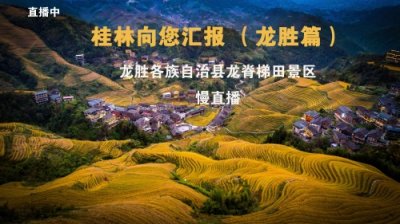​#桂林向您汇报（龙胜篇）－－龙胜各族自治县龙脊梯田景区（慢直播）