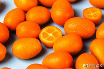​“中国柑桔之乡”在哪里？