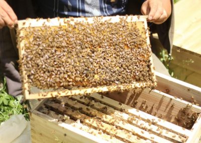 ​2020年传出麻省理工鉴定：周正龙的华南虎照片为真，后来怎么样了