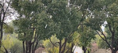 ​刚刚下的是冰雹、雪还是冰粒？上海气象局：浦东短时出现冰粒和霰粒子