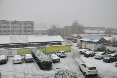 ​格律诗原创｜雪