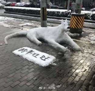 ​脑洞大开！这些网友堆的雪人你服不服(组图)