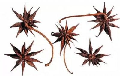 ​八角？莽草？傻傻分不清楚