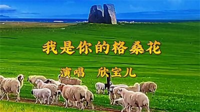 ​欣宝儿演唱《我是你的格桑花》，愿所有的有情人能终成眷属