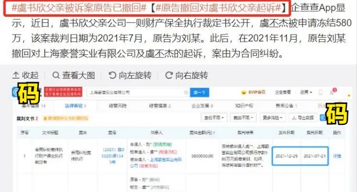 虞书欣事件的资料（虞书欣与王思聪一夜豪掷20万）