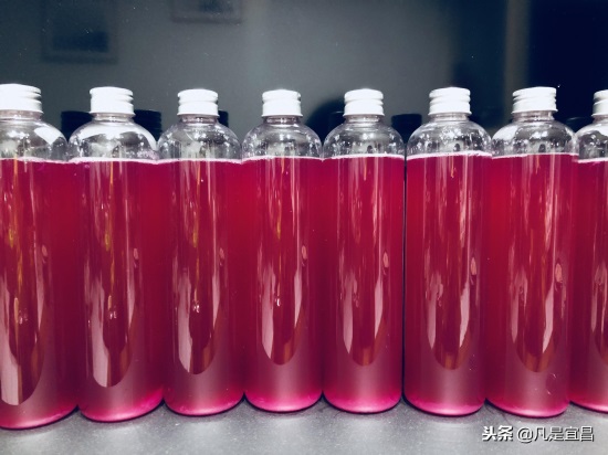 自制火龙果酵素全过程