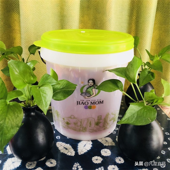 自制火龙果酵素全过程