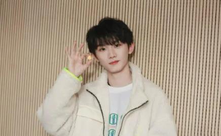 张嘉译第一任老婆杜珺介绍 张嘉译闫妮主演的电视剧