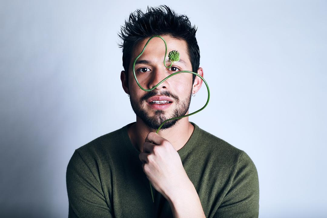 大卫·卡斯塔尼达个人资料写真作品