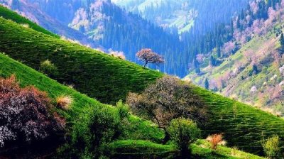 ​新疆这个地方，霸气承包了中国一半的美，被叫做“塞外江南”！