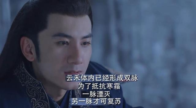 纪云禾为啥成九尾妖狐（与君初相识纪云禾九尾狐答案）