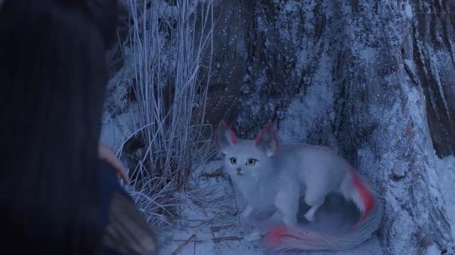 纪云禾为啥成九尾妖狐（与君初相识纪云禾九尾狐答案）