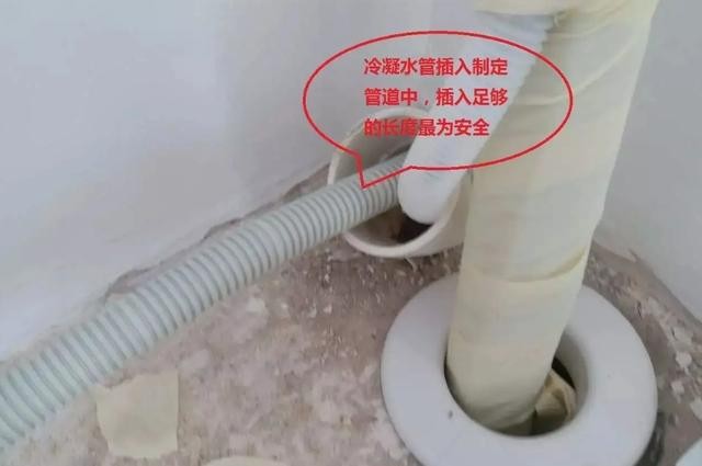 斯琴高娃娃国籍是什么（斯琴高娃还是中国人吗）