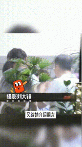 ​董洁王大治当年事件梁朝伟 董洁王大治亲吻视频动图来了！