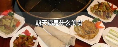 ​朝天锅是什么美食