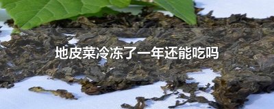 ​地皮菜冷冻了一年还能吃吗