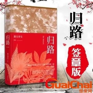 ​归路小说讲的什么 归路剧情介绍