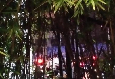 ​为什么要回家乡发展(到底是回老家还是留在大城市)