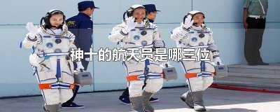 ​神十的航天员是哪三位