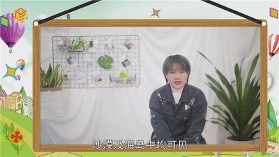 ​蜥蜴是什么动物