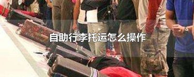 ​自助办理行李托运流程图片 怎么自助办理行李托运