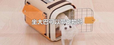 ​坐大巴可以携带宠物吗 坐大巴让带宠物吗