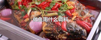 ​做鱼用什么调料腌制 做鱼用什么调料去腥味