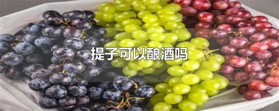 ​提子可以酿酒吗