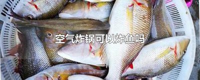​空气炸锅可以炸鱼吗