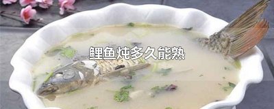 ​鲤鱼炖多久能熟
