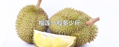 ​榴莲一般多少斤
