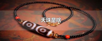 ​天珠是啥