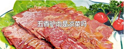 ​五香驴肉是凉菜吗