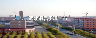 ​通北镇属于哪个市