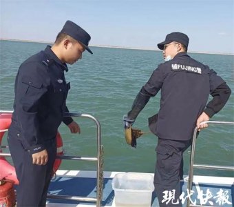 ​“四眼小怪兽”被困礁石缝，竟是“海洋活化石”