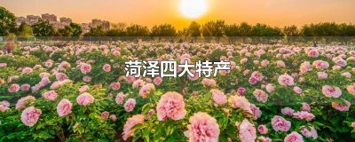 ​菏泽四大特产