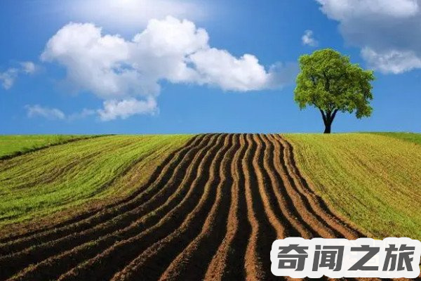 一公顷等于多少平方米（1平方米等于公顷怎么换算）(1)_