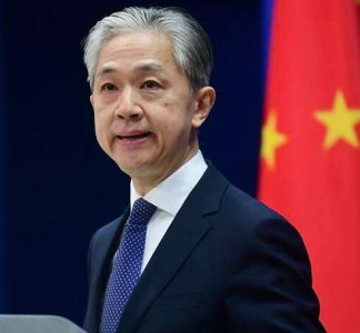 ​汪文斌怎么了(汪文斌回应德外长涉台表态)