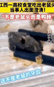 ​指鼠为鸭的时代，我们也别纠结是不是鸭，当事人都承认说是鸭了。